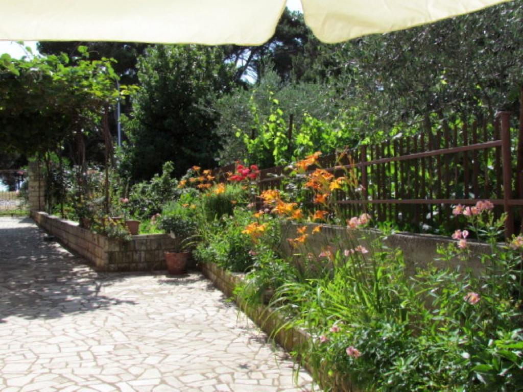 Apartment Vesna Rovinj Buitenkant foto